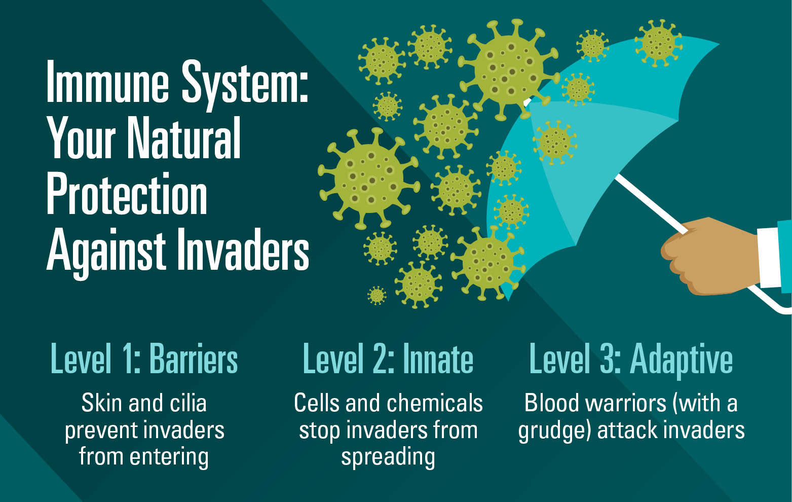 3 Simple Ways To Support Your Immune System Nebraska Medicine Omaha Ne